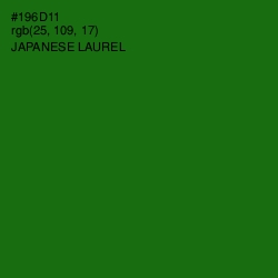 #196D11 - Japanese Laurel Color Image