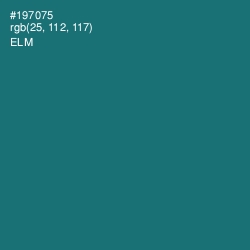 #197075 - Elm Color Image