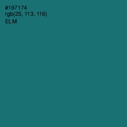 #197174 - Elm Color Image