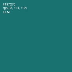 #197270 - Elm Color Image