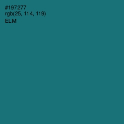 #197277 - Elm Color Image