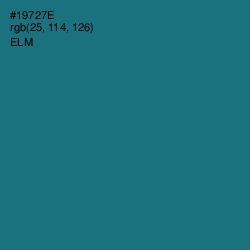 #19727E - Elm Color Image