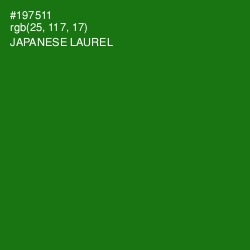 #197511 - Japanese Laurel Color Image