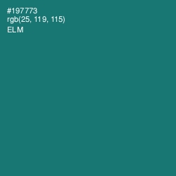 #197773 - Elm Color Image