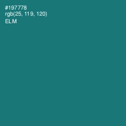 #197778 - Elm Color Image
