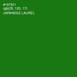 #197811 - Japanese Laurel Color Image