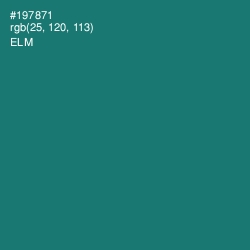 #197871 - Elm Color Image