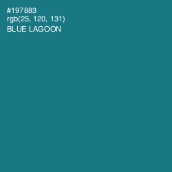 #197883 - Blue Lagoon Color Image