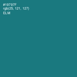 #19797F - Elm Color Image