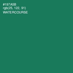 #197A5B - Watercourse Color Image