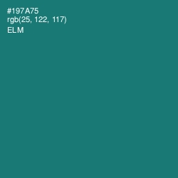 #197A75 - Elm Color Image