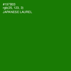 #197B03 - Japanese Laurel Color Image