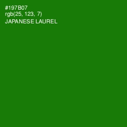 #197B07 - Japanese Laurel Color Image