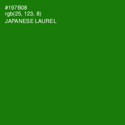 #197B08 - Japanese Laurel Color Image