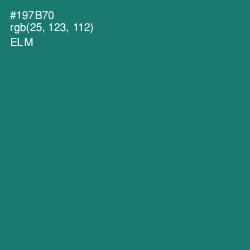 #197B70 - Elm Color Image