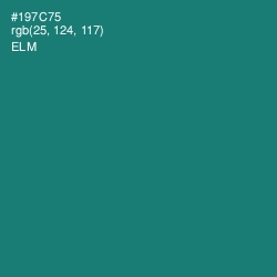 #197C75 - Elm Color Image