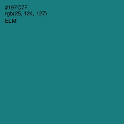 #197C7F - Elm Color Image