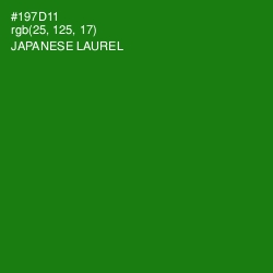 #197D11 - Japanese Laurel Color Image