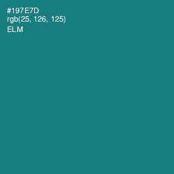 #197E7D - Elm Color Image