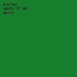 #197F30 - Fun Green Color Image