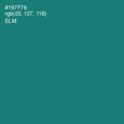 #197F76 - Elm Color Image