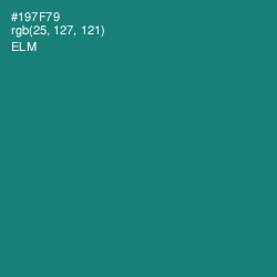 #197F79 - Elm Color Image