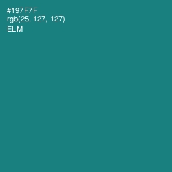#197F7F - Elm Color Image
