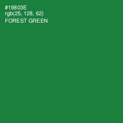 #19803E - Forest Green Color Image