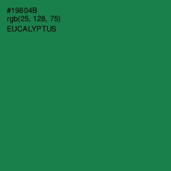 #19804B - Eucalyptus Color Image