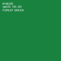 #19823E - Forest Green Color Image
