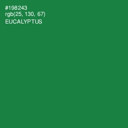 #198243 - Eucalyptus Color Image
