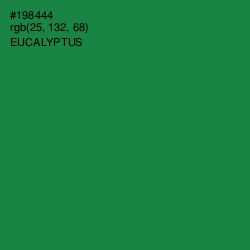 #198444 - Eucalyptus Color Image