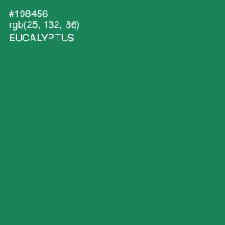 #198456 - Eucalyptus Color Image