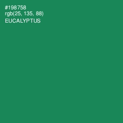 #198758 - Eucalyptus Color Image