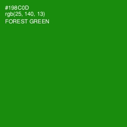 #198C0D - Forest Green Color Image