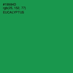#19984D - Eucalyptus Color Image