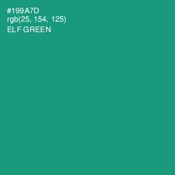 #199A7D - Elf Green Color Image