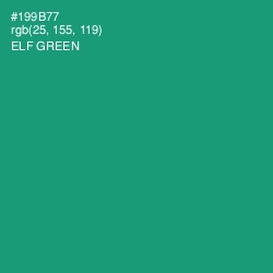 #199B77 - Elf Green Color Image