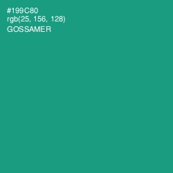 #199C80 - Gossamer Color Image
