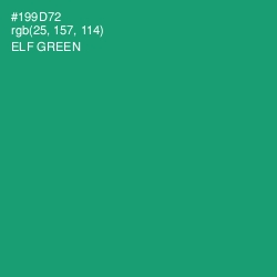 #199D72 - Elf Green Color Image