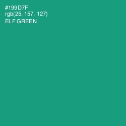 #199D7F - Elf Green Color Image