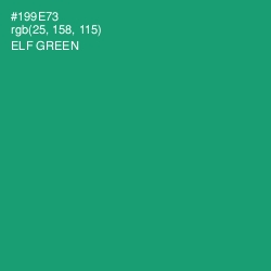 #199E73 - Elf Green Color Image