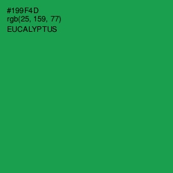 #199F4D - Eucalyptus Color Image