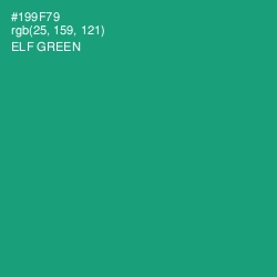 #199F79 - Elf Green Color Image