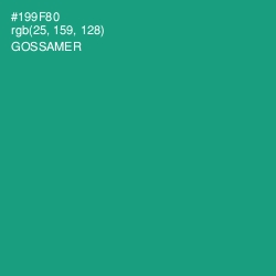 #199F80 - Gossamer Color Image