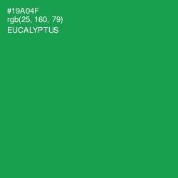 #19A04F - Eucalyptus Color Image