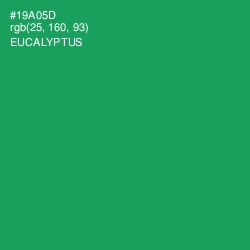 #19A05D - Eucalyptus Color Image