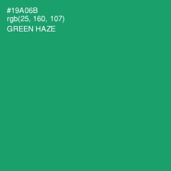 #19A06B - Green Haze Color Image