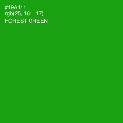 #19A111 - Forest Green Color Image