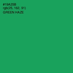 #19A25B - Green Haze Color Image